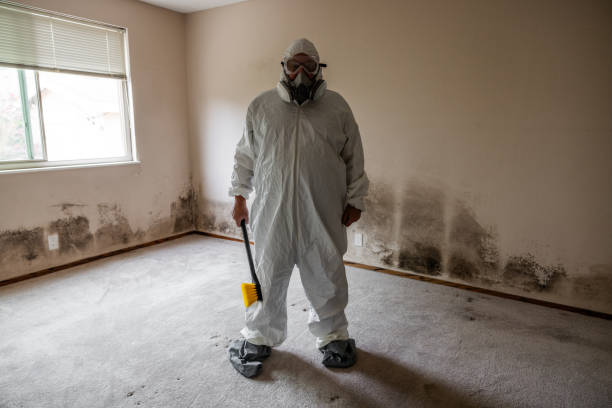 Best Residential Mold Remediation in Walnut, CA